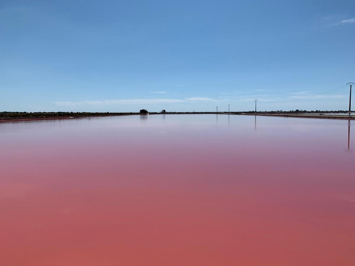 Cabane Maia Aigues Mortes Esterno foto